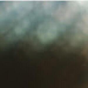 Meet your Posher, Ty